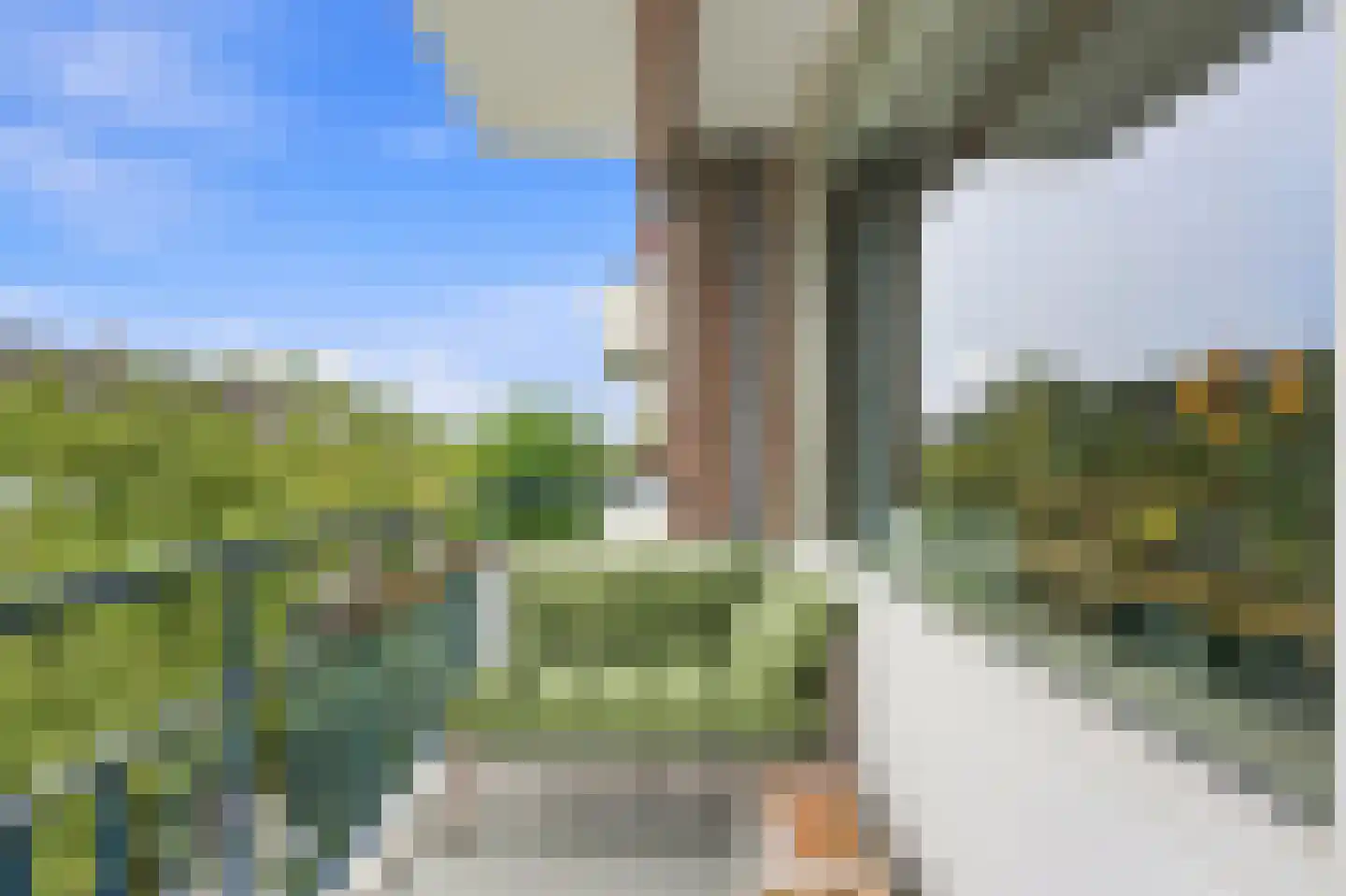 Adrianalaan 57 Rotterdam thumbnail 29