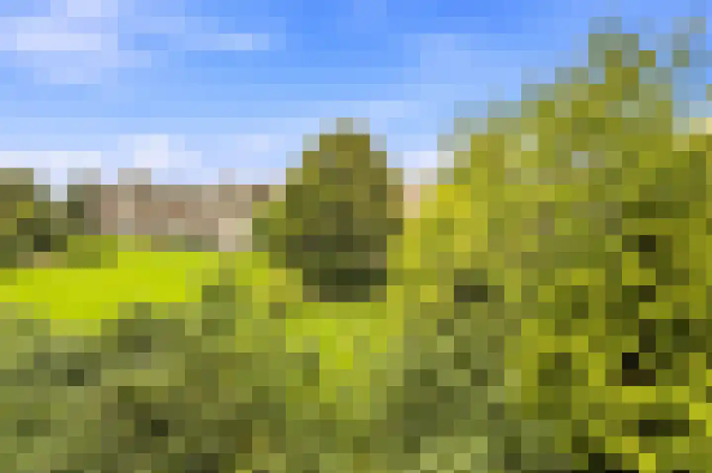 Adrianalaan 57 Rotterdam thumbnail 32
