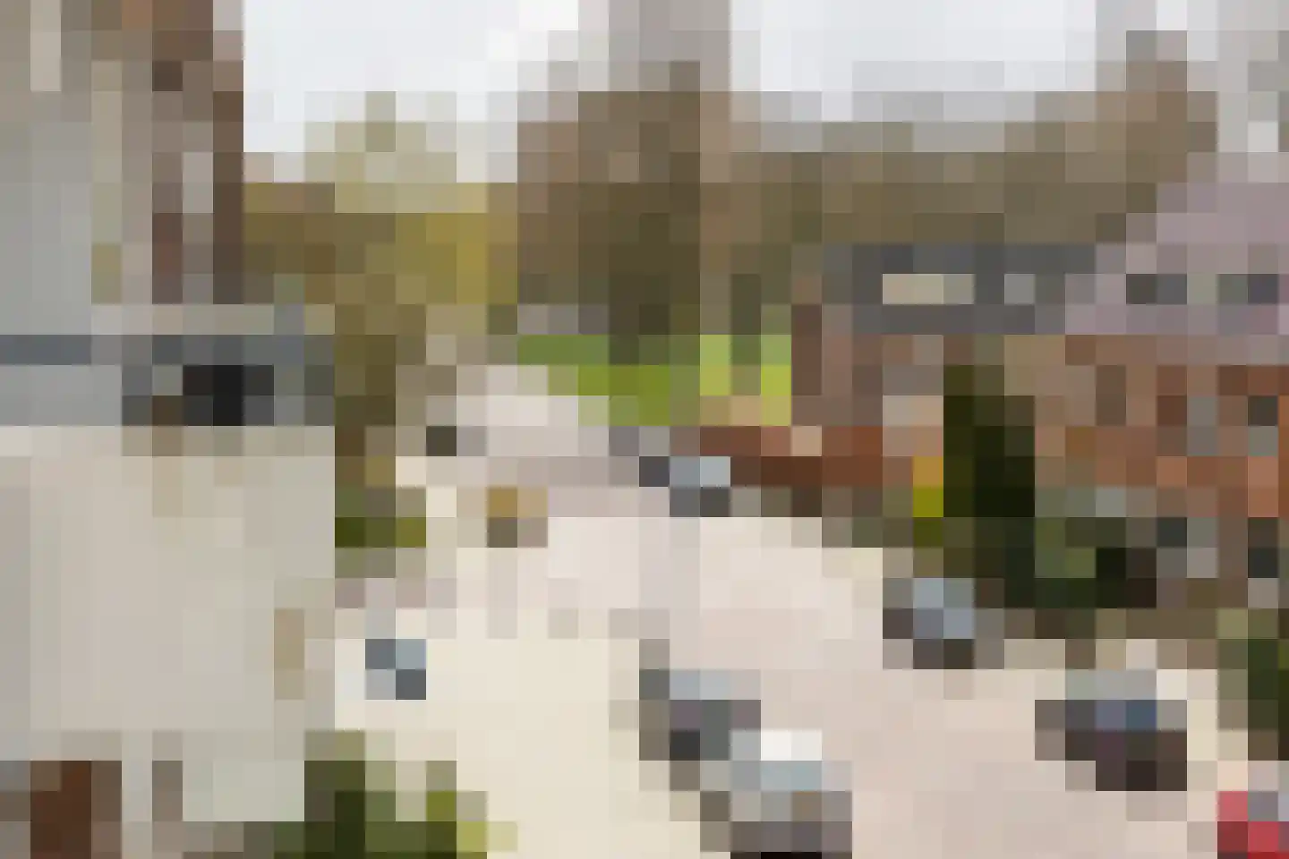 Adrianalaan 69 Rotterdam thumbnail 12