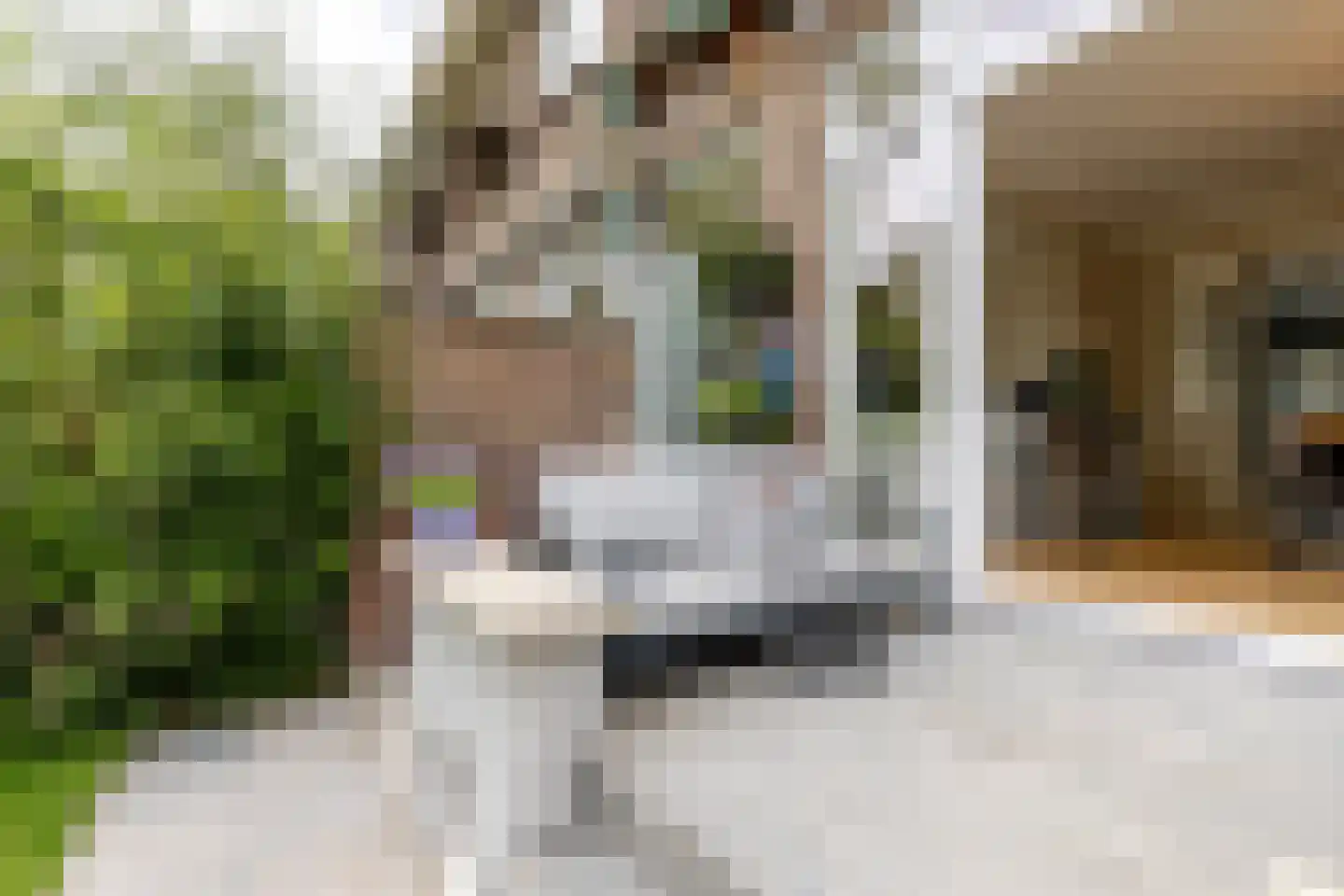 Adrianalaan 74 Rotterdam thumbnail 30