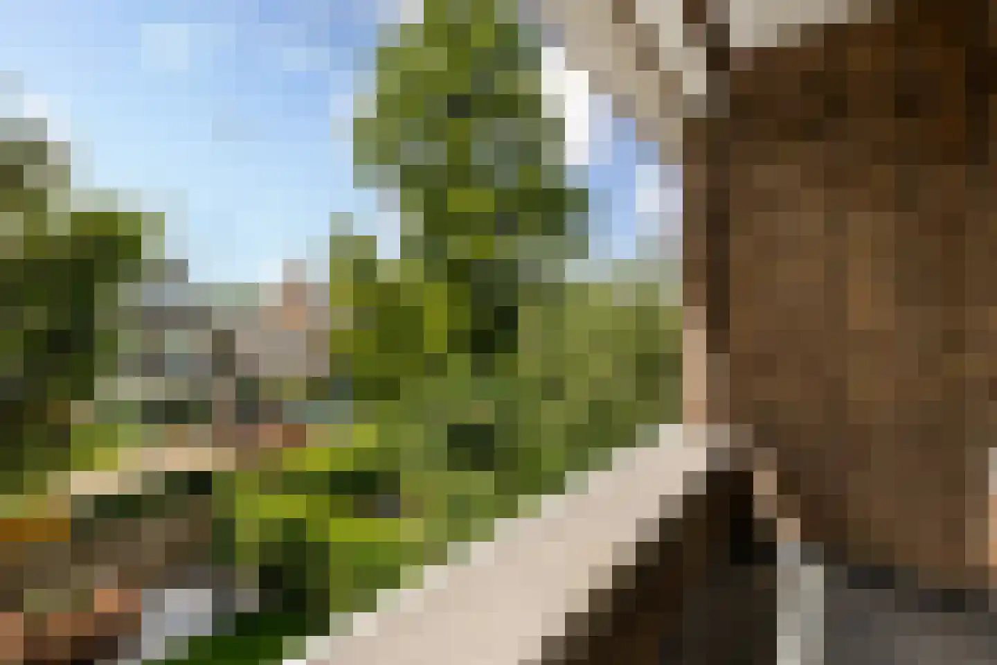 Adrianalaan 74 Rotterdam thumbnail 42