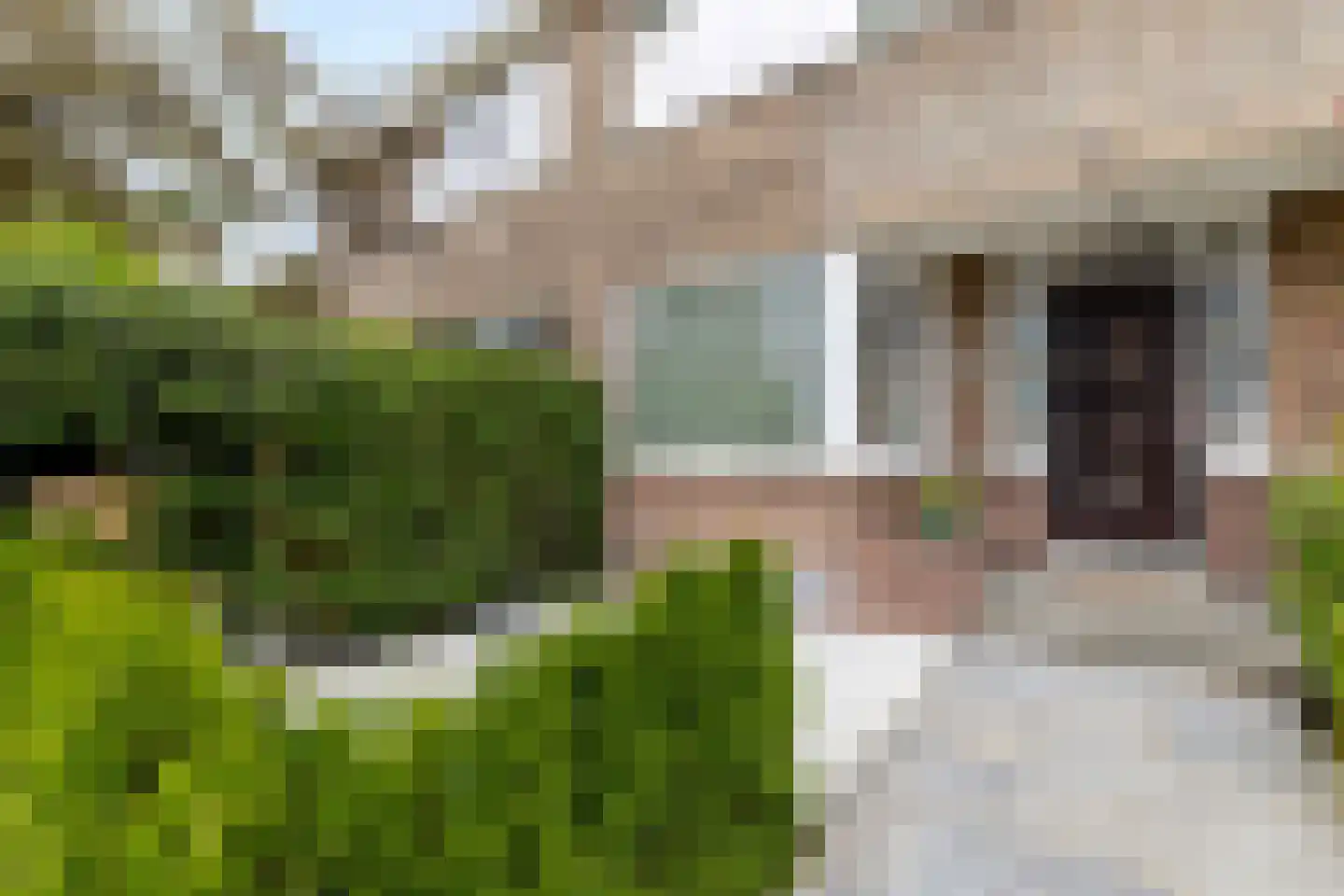 Adrianalaan 74 Rotterdam thumbnail 69