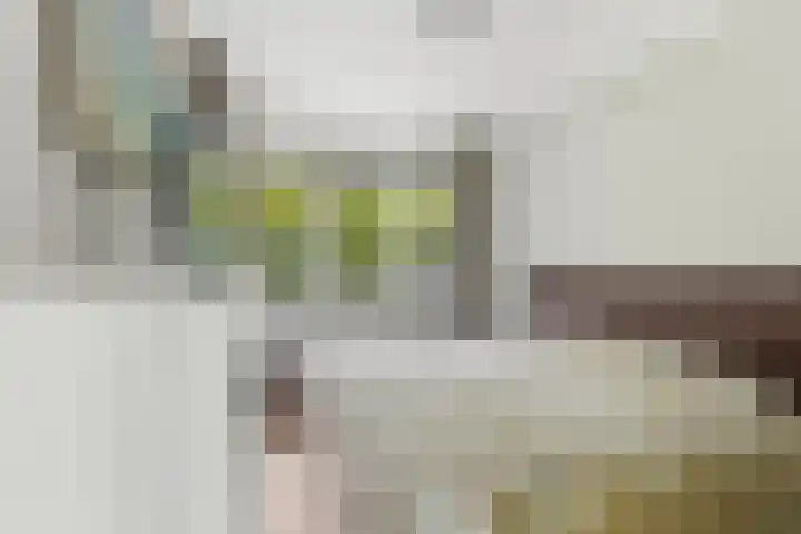 Adrianalaan 89 Rotterdam thumbnail 17