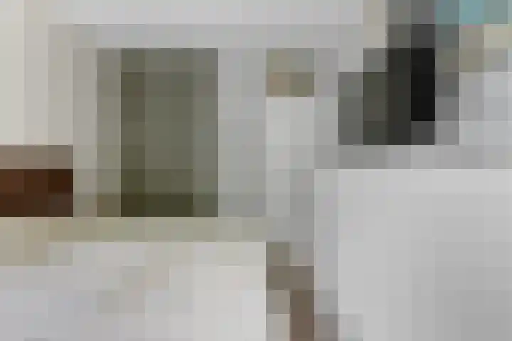 Adrianalaan 89 Rotterdam thumbnail 18