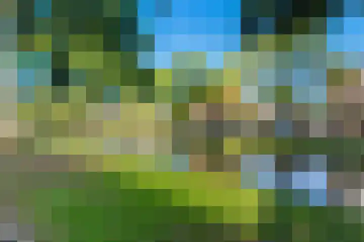Adrianalaan 89 Rotterdam thumbnail 26