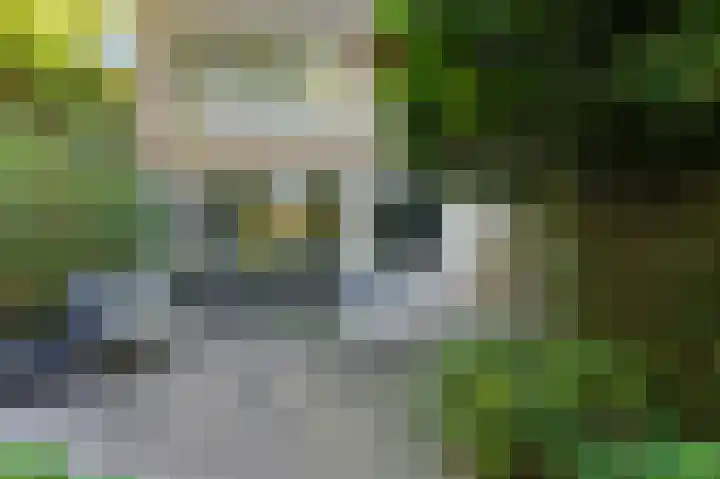 Adrianalaan 89 Rotterdam thumbnail 30