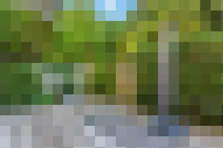 Adrianalaan 89 Rotterdam thumbnail 7