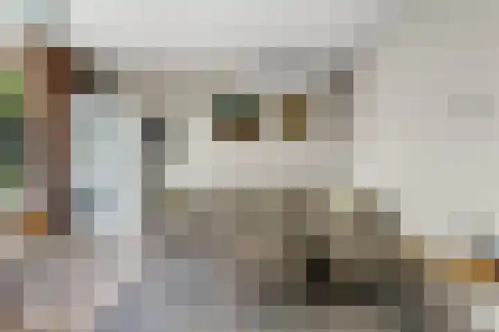 Adrianalaan 89 Rotterdam thumbnail 8