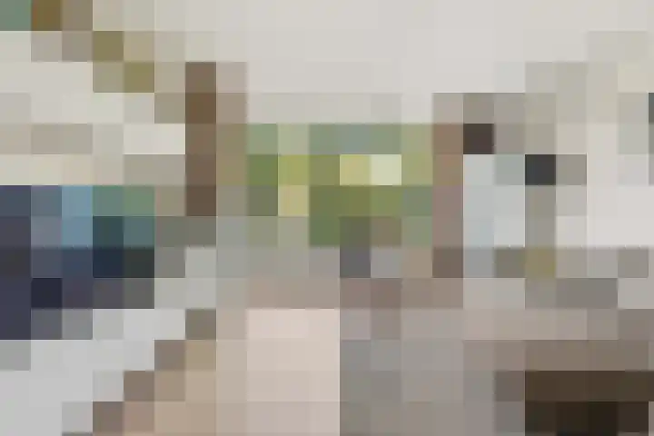 Adrianalaan 89 Rotterdam thumbnail 9