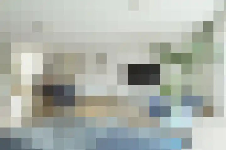 Adrianapolder 7 Barendrecht thumbnail 11