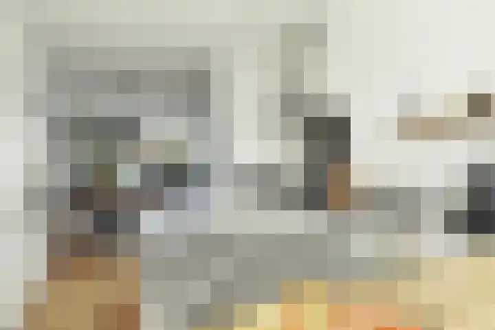 Adrianapolder 7 Barendrecht thumbnail 17