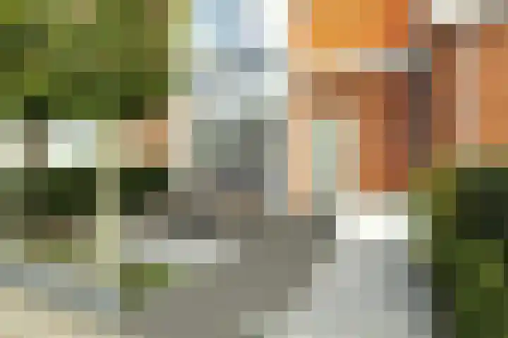 Adrianapolder 7 Barendrecht thumbnail 6