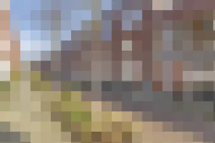 Adrianastraat 118 Rotterdam thumbnail 20