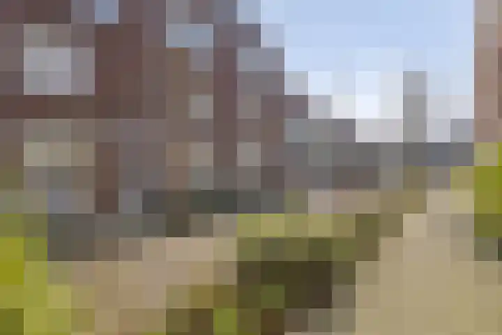 Adrianastraat 118 Rotterdam thumbnail 21