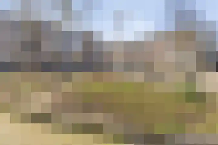 Adrianastraat 118 Rotterdam thumbnail 22