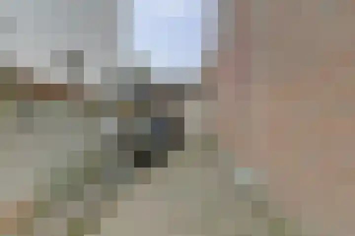 Adrianastraat 12 Katwijk thumbnail 47