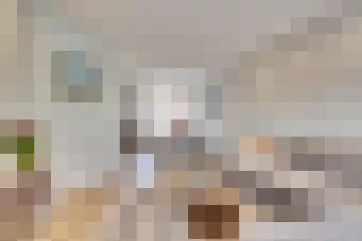 Adrianastraat 15 Katwijk thumbnail 16