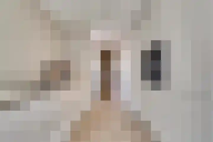 Adrianastraat 15 Katwijk thumbnail 24