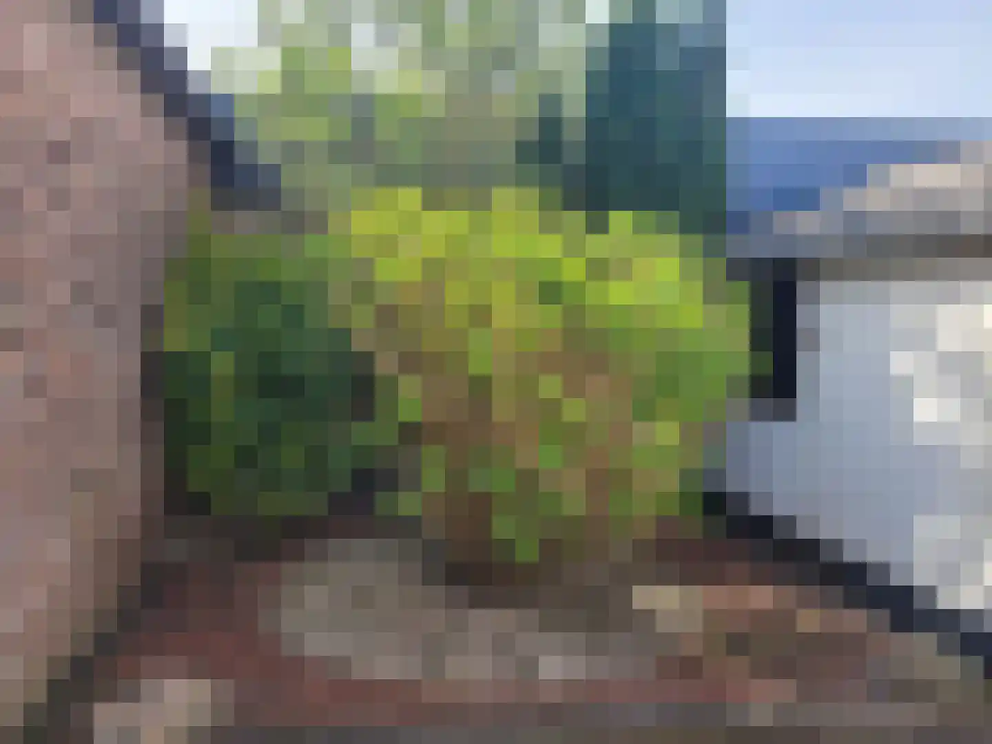 Adrianastraat 17 Katwijk thumbnail 43