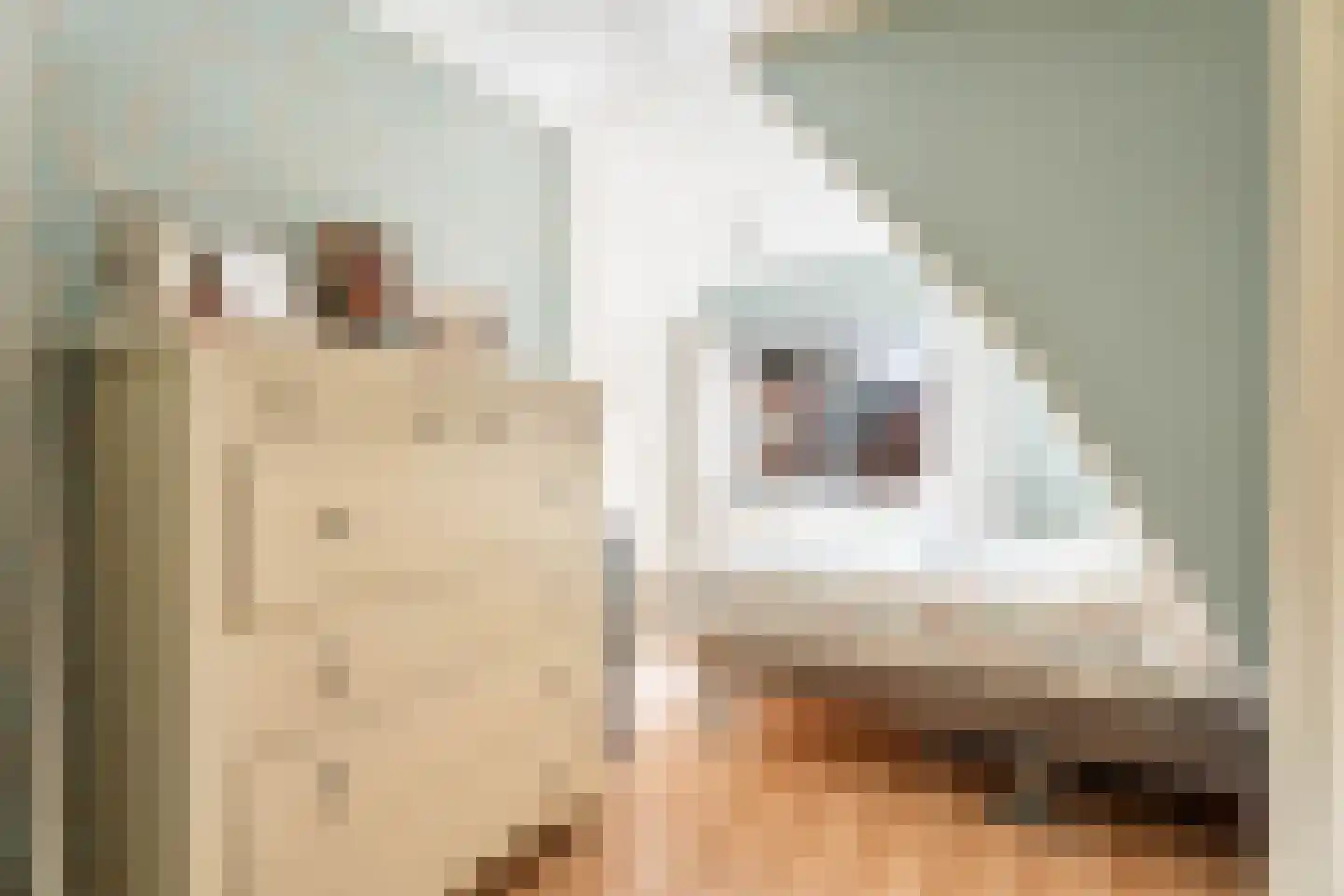 Adrianastraat 26 Katwijk thumbnail 17
