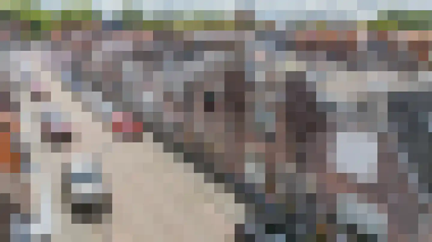 Adrianastraat 49 Katwijk thumbnail 7