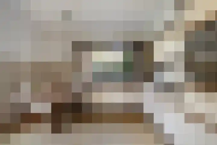 Adrianus Loefflaan 10 Hilvarenbeek thumbnail 11