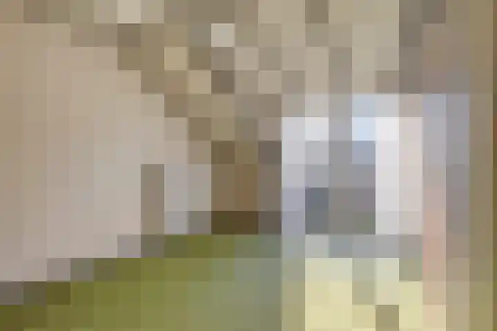 Adrianus Loefflaan 10 Hilvarenbeek thumbnail 18