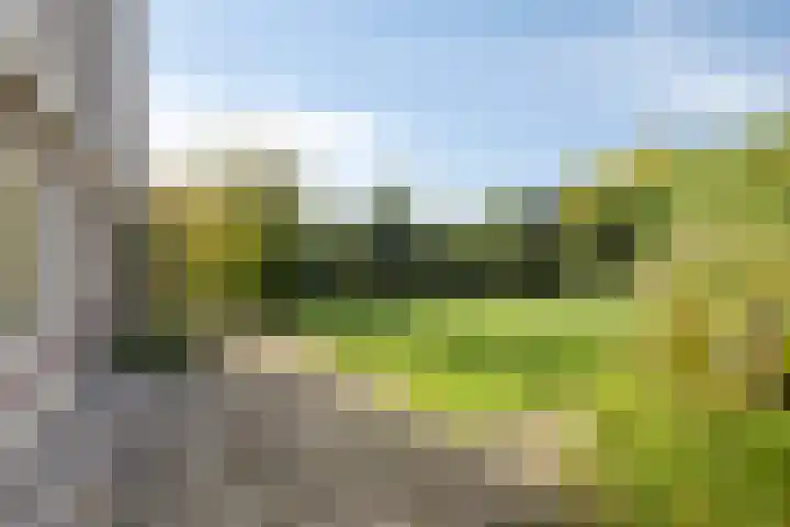 Adrianus Loefflaan 10 Hilvarenbeek thumbnail 25