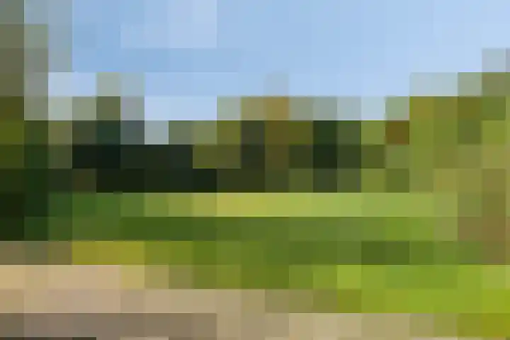 Adrianus Loefflaan 10 Hilvarenbeek thumbnail 26