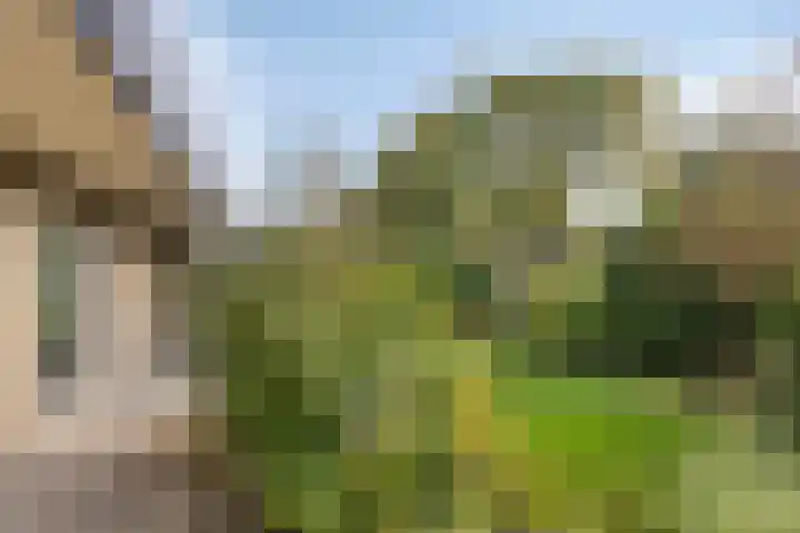Adrianus Loefflaan 10 Hilvarenbeek thumbnail 27