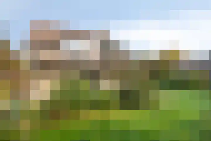 Adrianus Loefflaan 10 Hilvarenbeek thumbnail 28