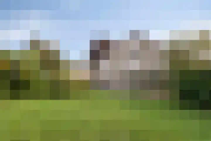 Adrianus Loefflaan 10 Hilvarenbeek thumbnail 30