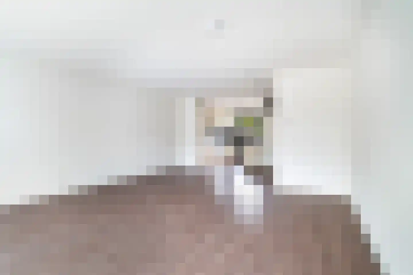 Adrianus van Driellaan 10 Den Haag thumbnail 11