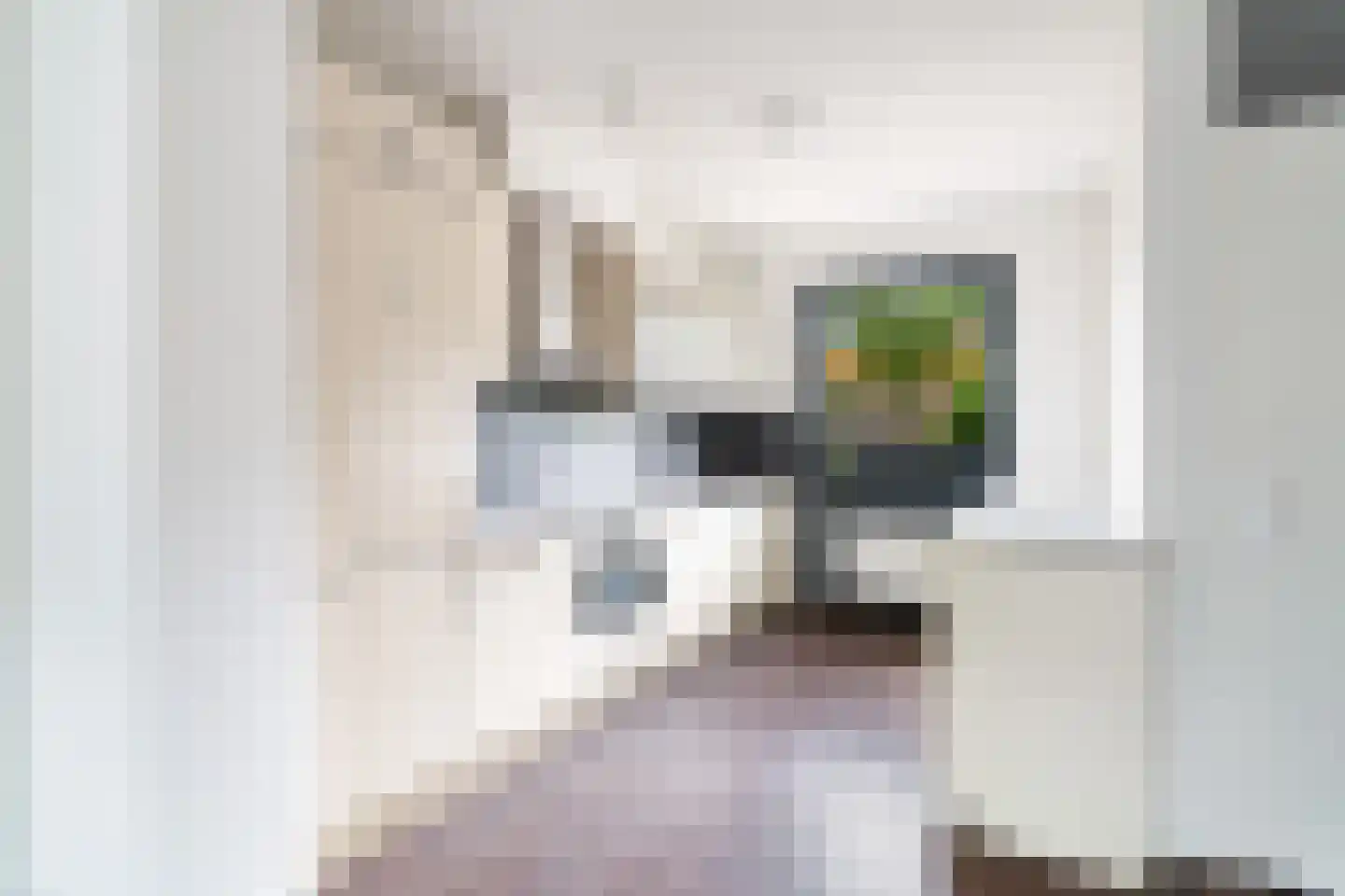 Adrianus van Driellaan 10 Den Haag thumbnail 13