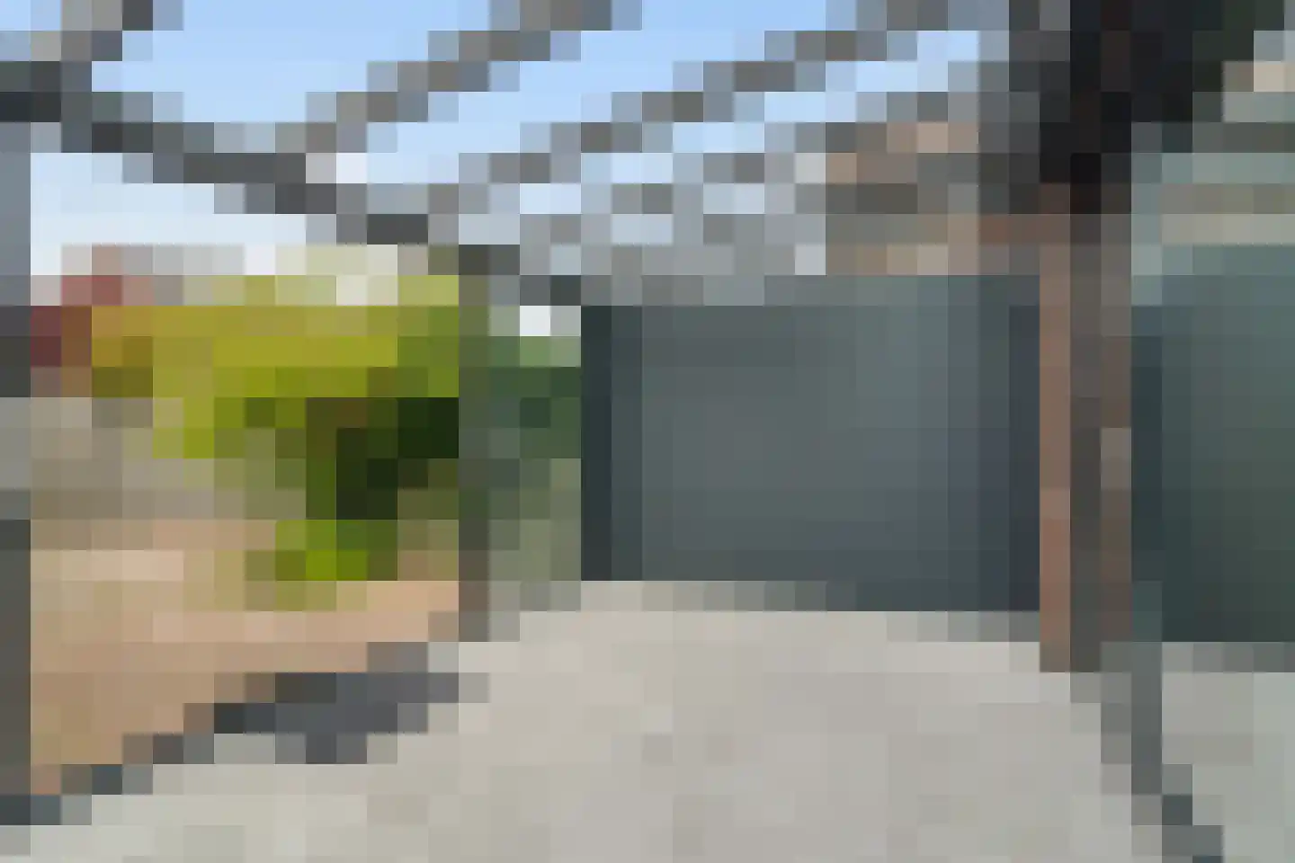 Adrianus van Driellaan 10 Den Haag thumbnail 16