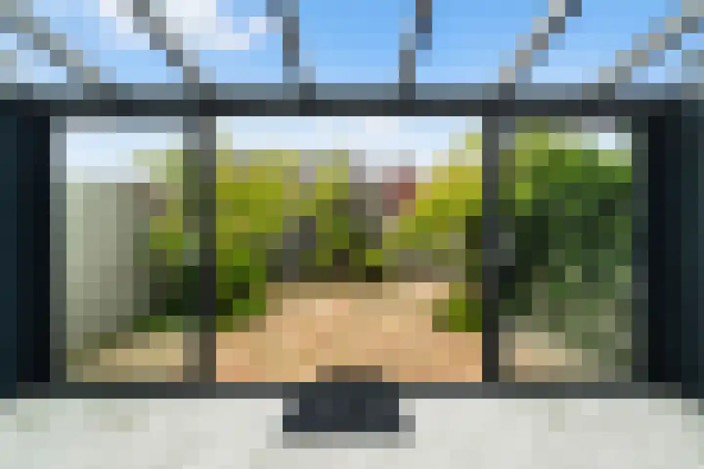 Adrianus van Driellaan 10 Den Haag thumbnail 19