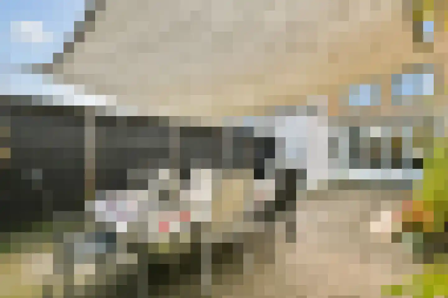 Adrianus van Waertweg 11 Amsterdam thumbnail 10
