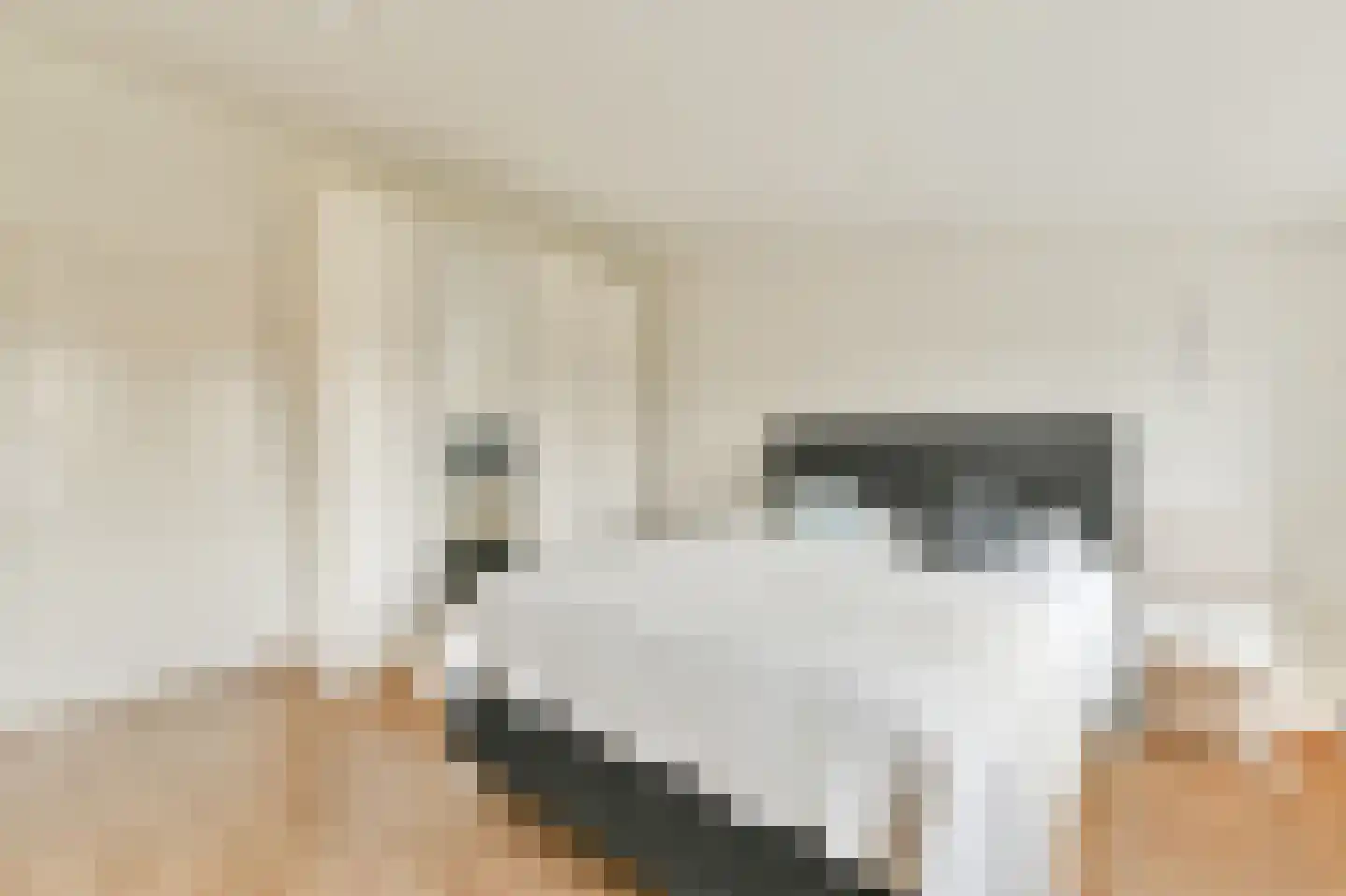 Adrianus van Waertweg 11 Amsterdam thumbnail 22