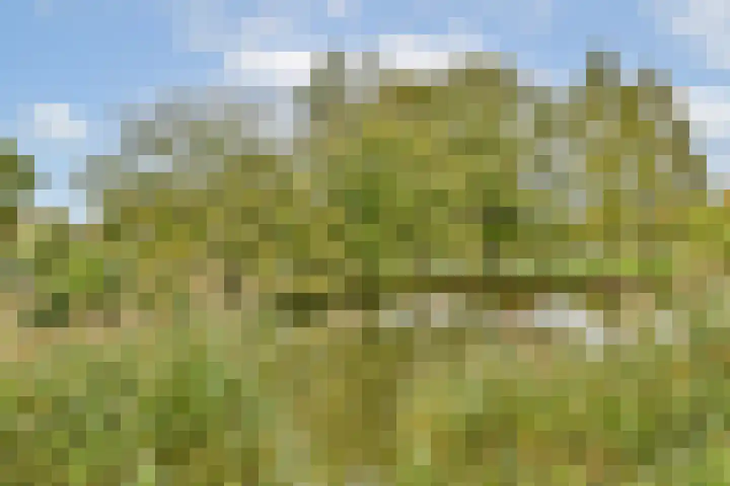 Adrianus van Waertweg 11 Amsterdam thumbnail 27