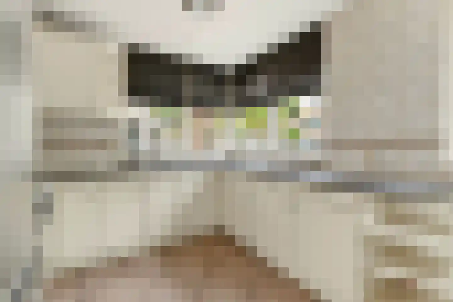 Adrianus van Waertweg 12 Amsterdam thumbnail 27