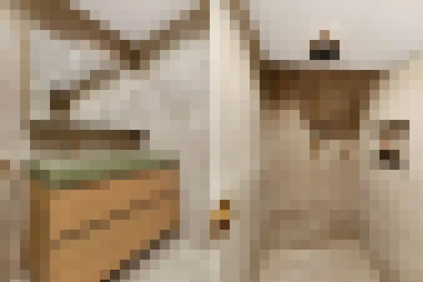 Adrianus van Waertweg 12 Amsterdam thumbnail 41
