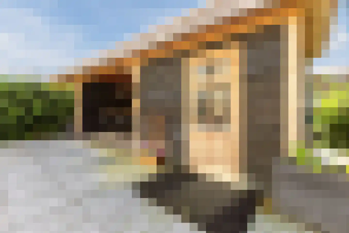 Adrianus van Waertweg 12 Amsterdam thumbnail 56