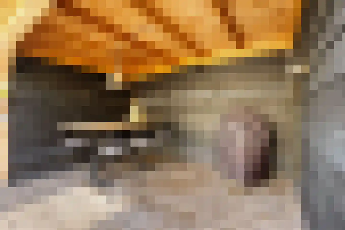 Adrianus van Waertweg 12 Amsterdam thumbnail 57