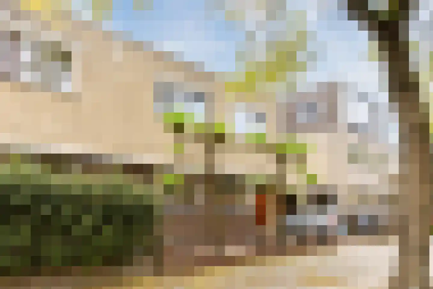 Adrianus van Waertweg 12 Amsterdam thumbnail 6