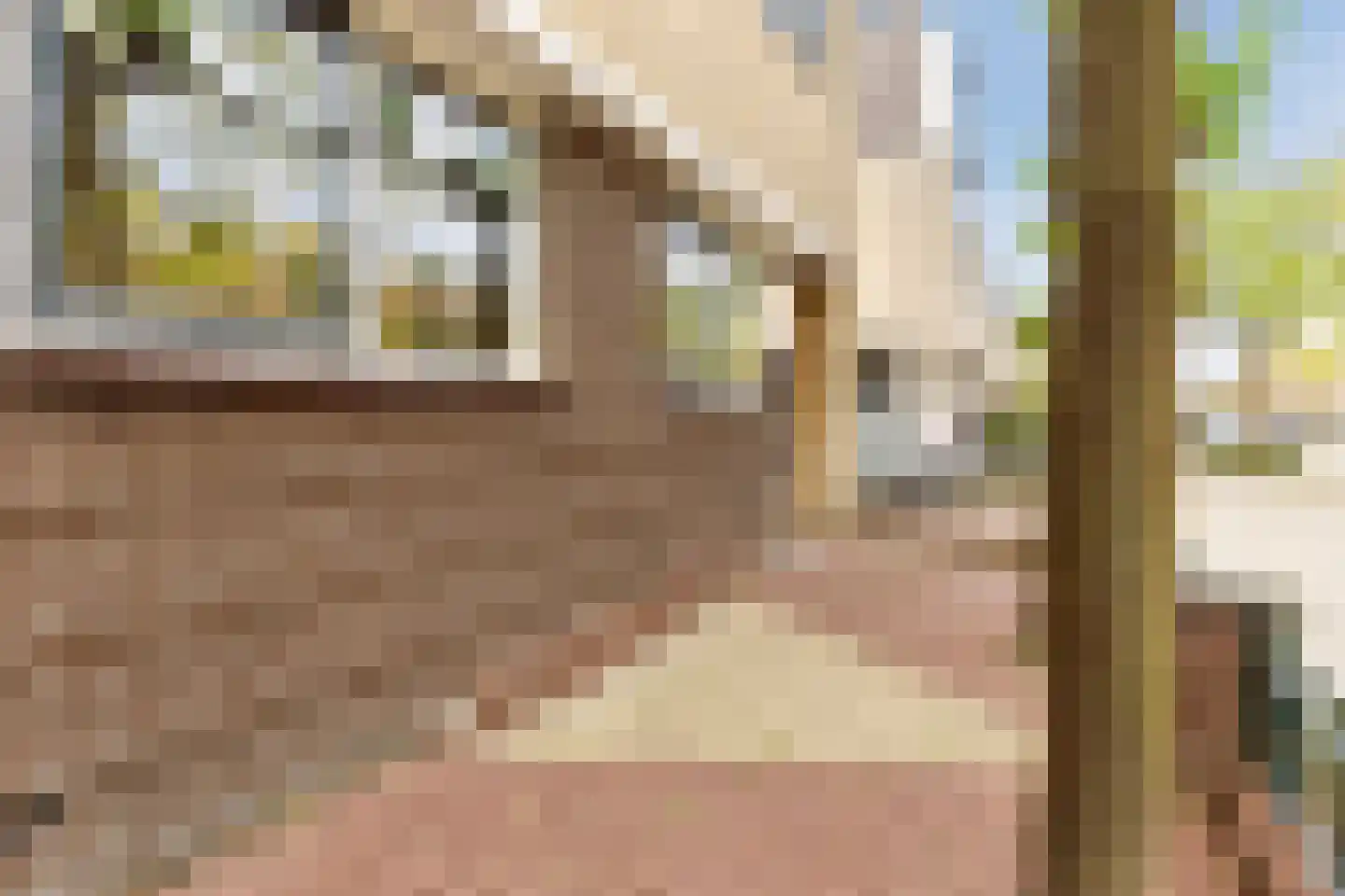 Adrianus van Waertweg 12 Amsterdam thumbnail 8