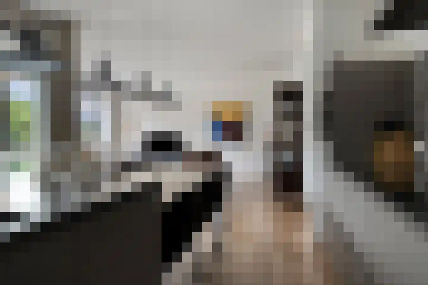 Adrianusplein 200 Sint-Michielsgestel thumbnail 17