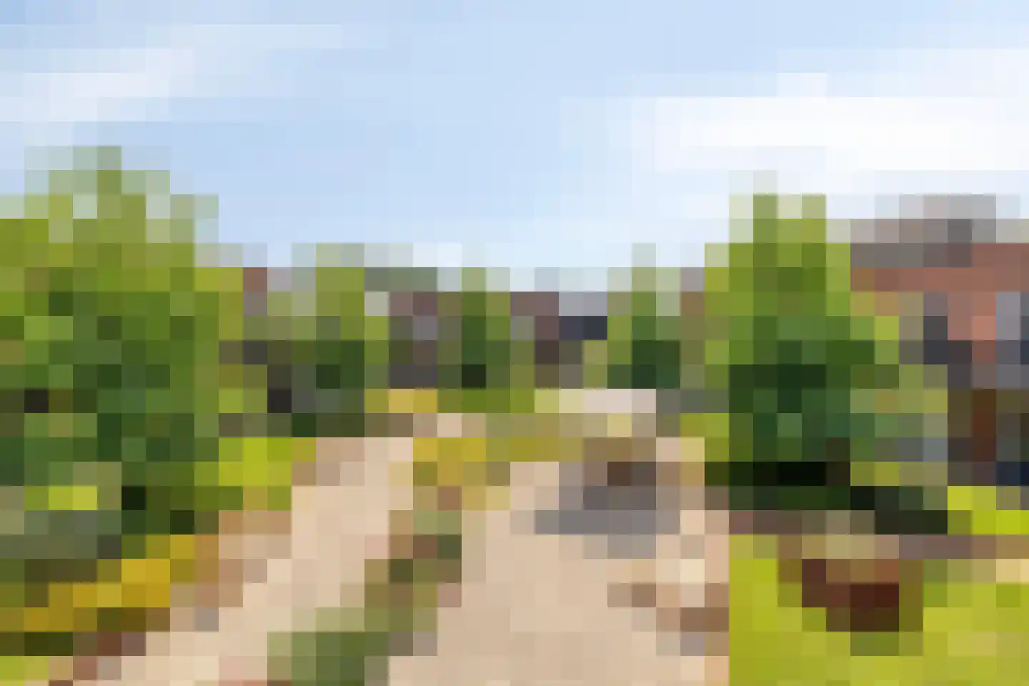 Adrianusplein 200 Sint-Michielsgestel thumbnail 31
