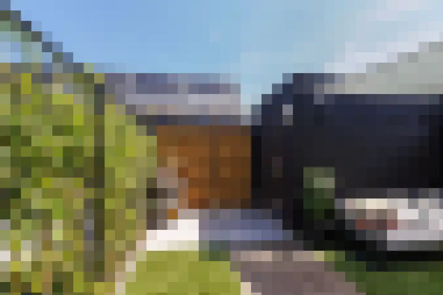 Adriatico 16 Waalwijk thumbnail 33