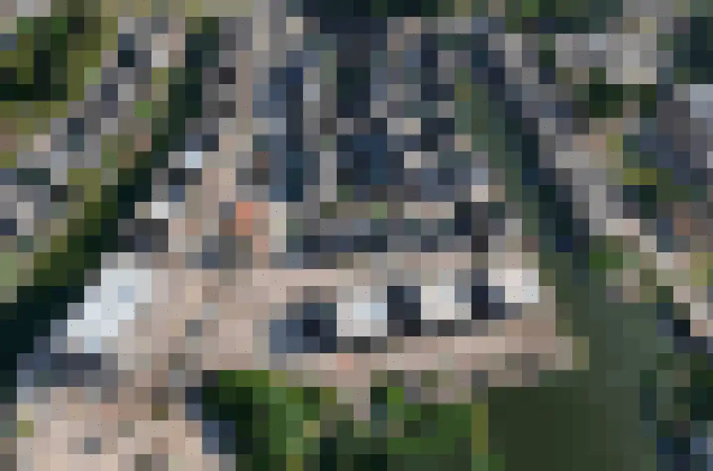 Adriatico 16 Waalwijk thumbnail 39