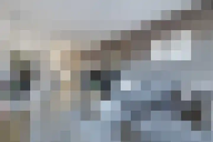 Adriatischestraat 14 Emmeloord thumbnail 11